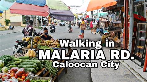 ascoville malaria caloocan city|Ascoville, Malaria, Caloocan City Caloocan .